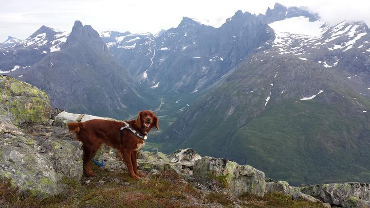 Utsikt fra Aakesvarden, foto: Nils Heggem AS